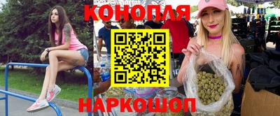 прущие грибы Абинск